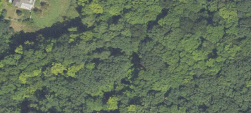 Thornapple River Waterfront Land Opportunity