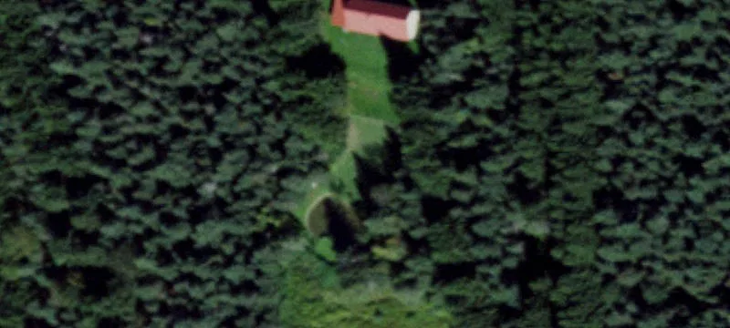 Wooded Lot Near Keuka Lake