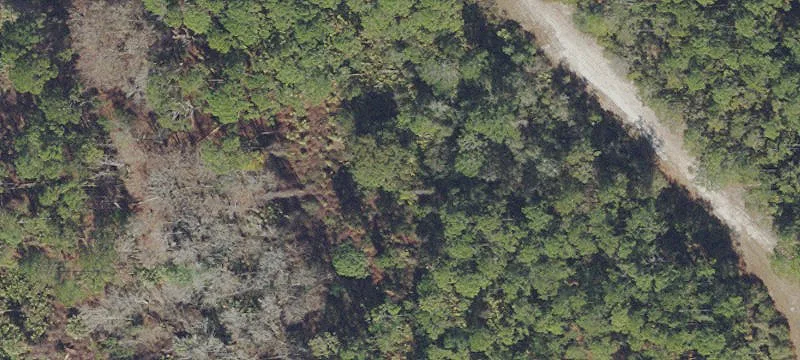 Whispering Pines Land Parcel