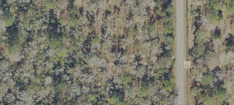 Flagler Estates Acreage Opportunity