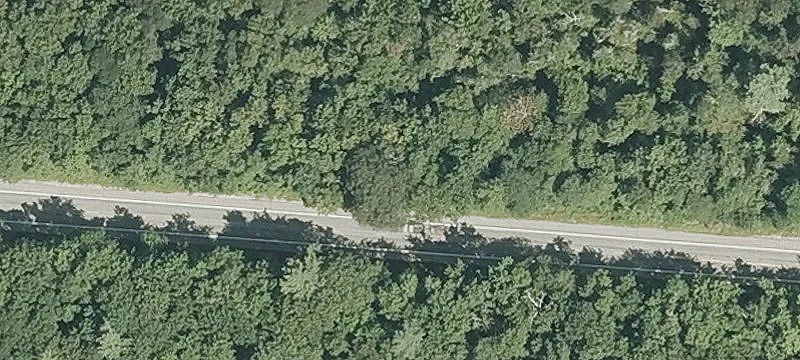 6.5 Acre Wooded Parcel