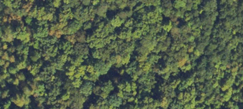 Two Tracts of Pristine Land