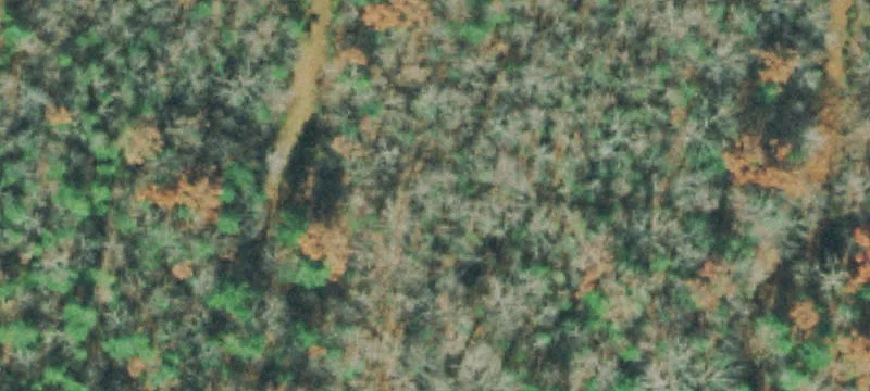 Vacant Lot in Fairfield Glade