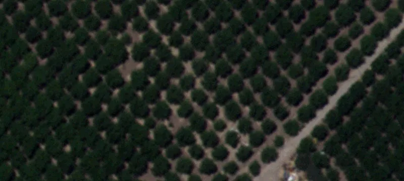 Corner Land Parcel in Clint
