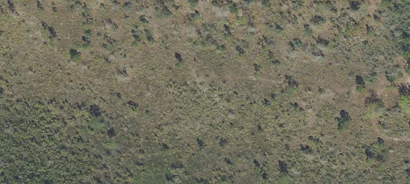 20 Acre Parcel in Fountain, FL