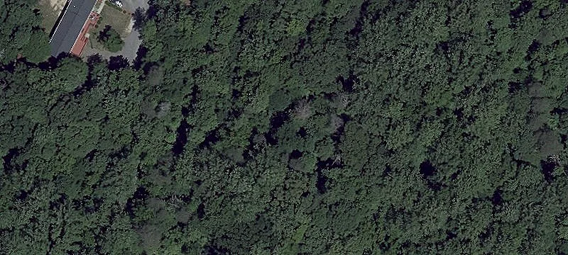 Central Calvert Wooded Residential Land