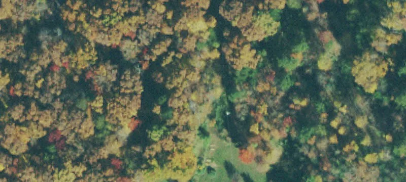 Sparsely Wooded Land For Sale