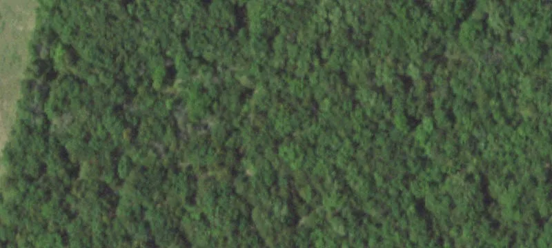 22.90 Acres Wooded Land