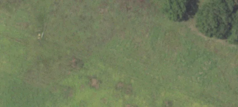 Undeveloped Land for Varied Use