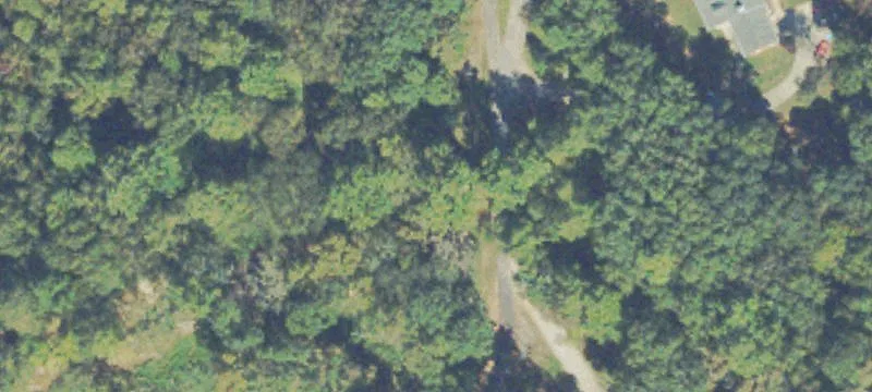 Walton County Cattle Farm