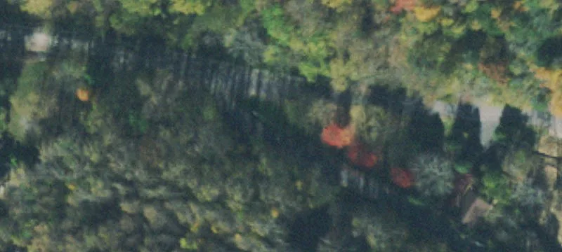 Wooded Lot Near Center Hill