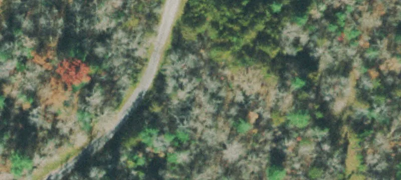 Wooded Lot in Crossville