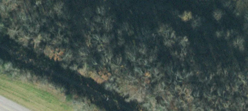 5-Acre Tract with Utilities