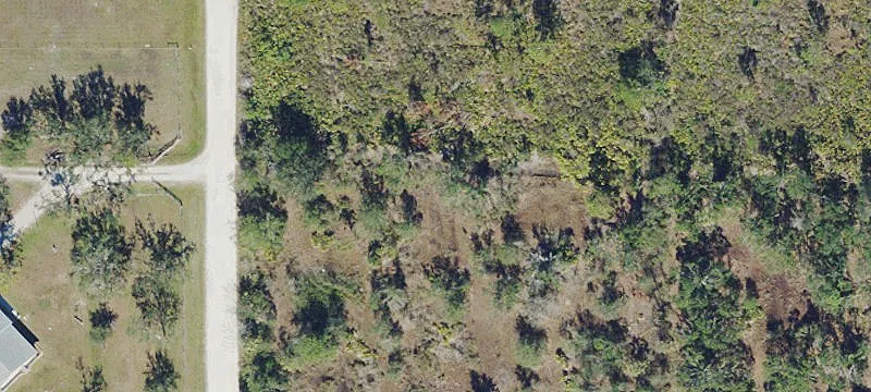 Agricultural Land in Punta Gorda