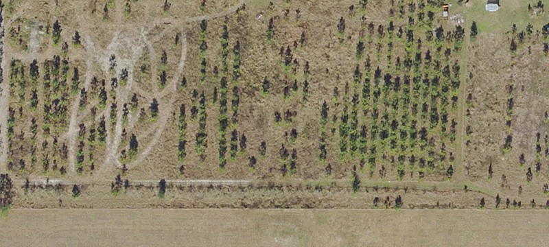 Expansive Land Parcel in Lithia