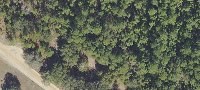 Land for Outdoor Activities