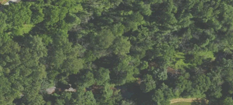Land Parcel Near Pigeon Creek