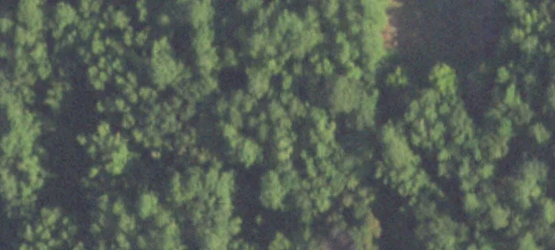 East Montgomery County 110-Acre Property