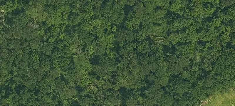 Prime Land in Growing Area