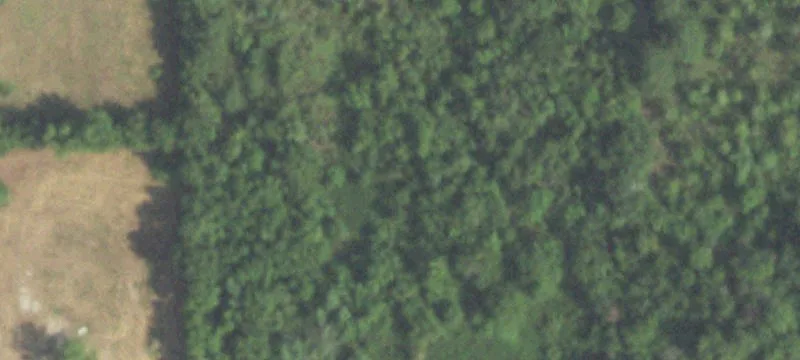Northwest Harris County Commercial Site