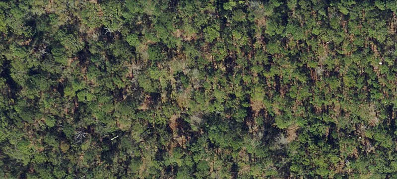 Land for Development Opportunity