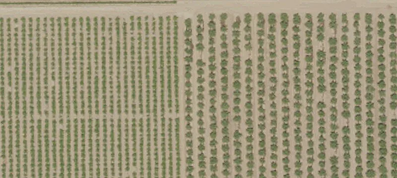 Prime Lodi Agricultural Land Parcels