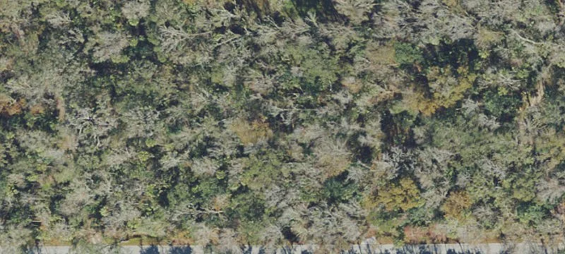 Cleared Vacant Lot For Sale