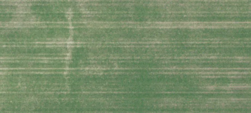 Versatile Land with Agricultural, Commercial Potential