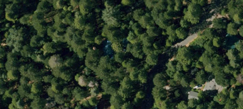 Private Acreage with National Forest Access