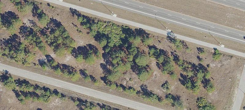 Commercial Vacant Lot on SR 82