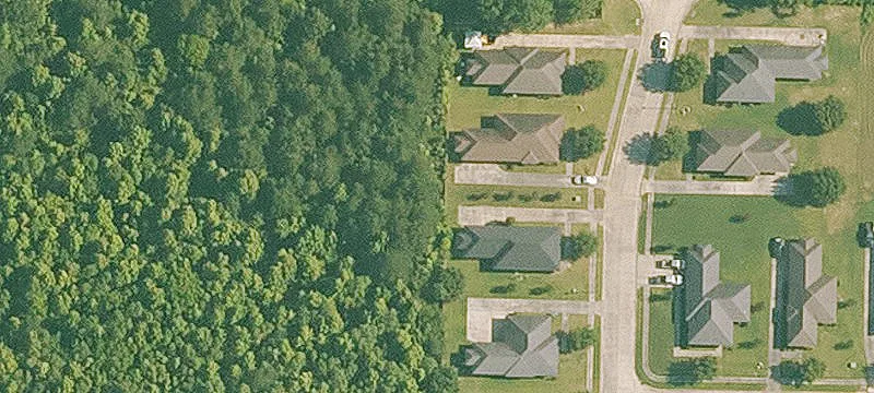 Waterfront Land on Little Teche