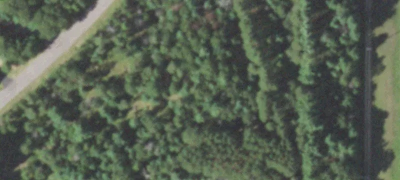 Lake Arrowhead Wooded Homesite