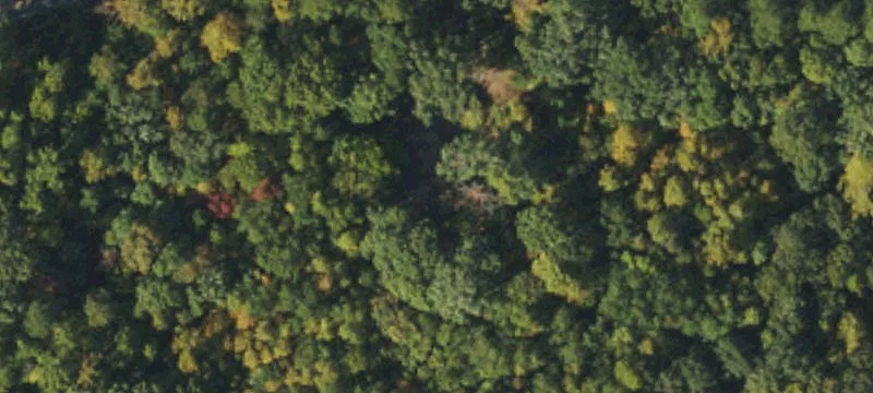 Wooded Land Near Pittsboro