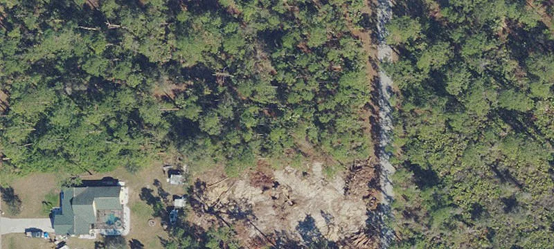 Spacious Lot in Southwest Florida