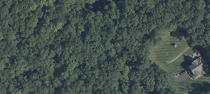 Undeveloped Land Near Lake Owassa