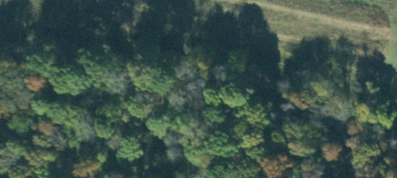 Hickory Valley Farmland Opportunity