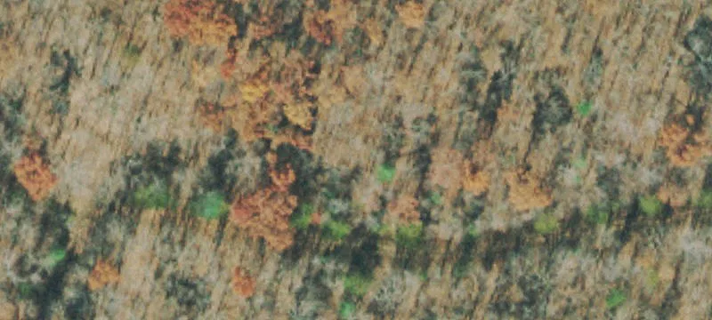 Crossville Land For Sale
