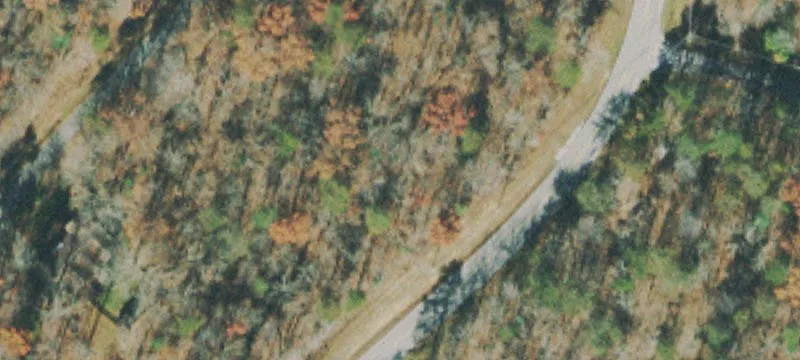 Wooded Lot in Crossville