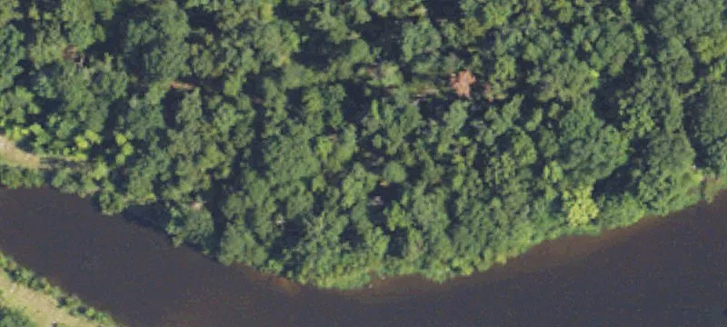 Land Near Natchez Trace