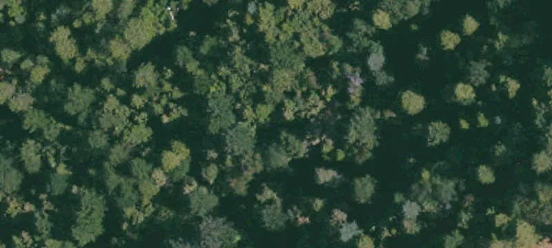 Challenge, CA Land with Creek