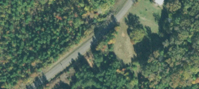 6.28 Acres Wooded Land