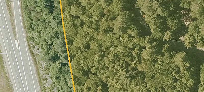 Residential Lot in Eastman Community