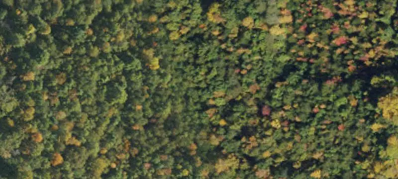 9.25 Acre Wooded Building Parcel