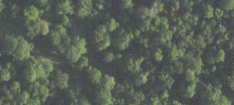 Wooded Lot in Montgomery County