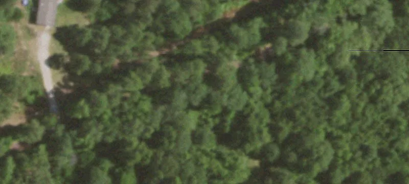 Secluded Hunting Land in Cass