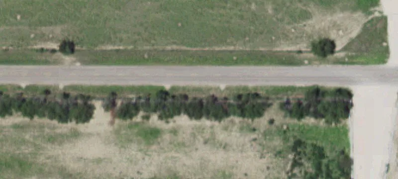 10 Acre Starr County Land