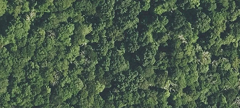 Spacious Land Parcel For Sale