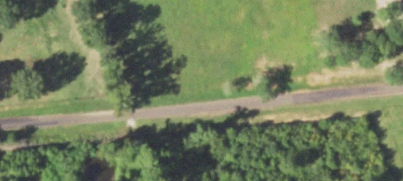 93.98 Acres Ranch Living