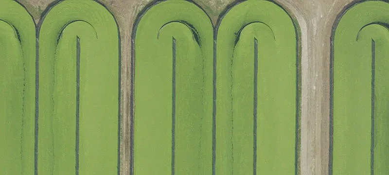 160-Acre Aqua Farm with Warehouses