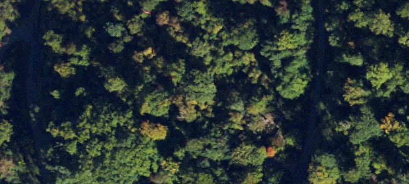 206 Acre Lot in Hayesville